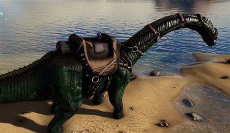 Ark taming a bronto - The Brontosaurus, also known as the Bronto, is a dino in Ark: Survival Evolved. It can be tamed, ridden and bred. Whilst it is a passive creature, when ...